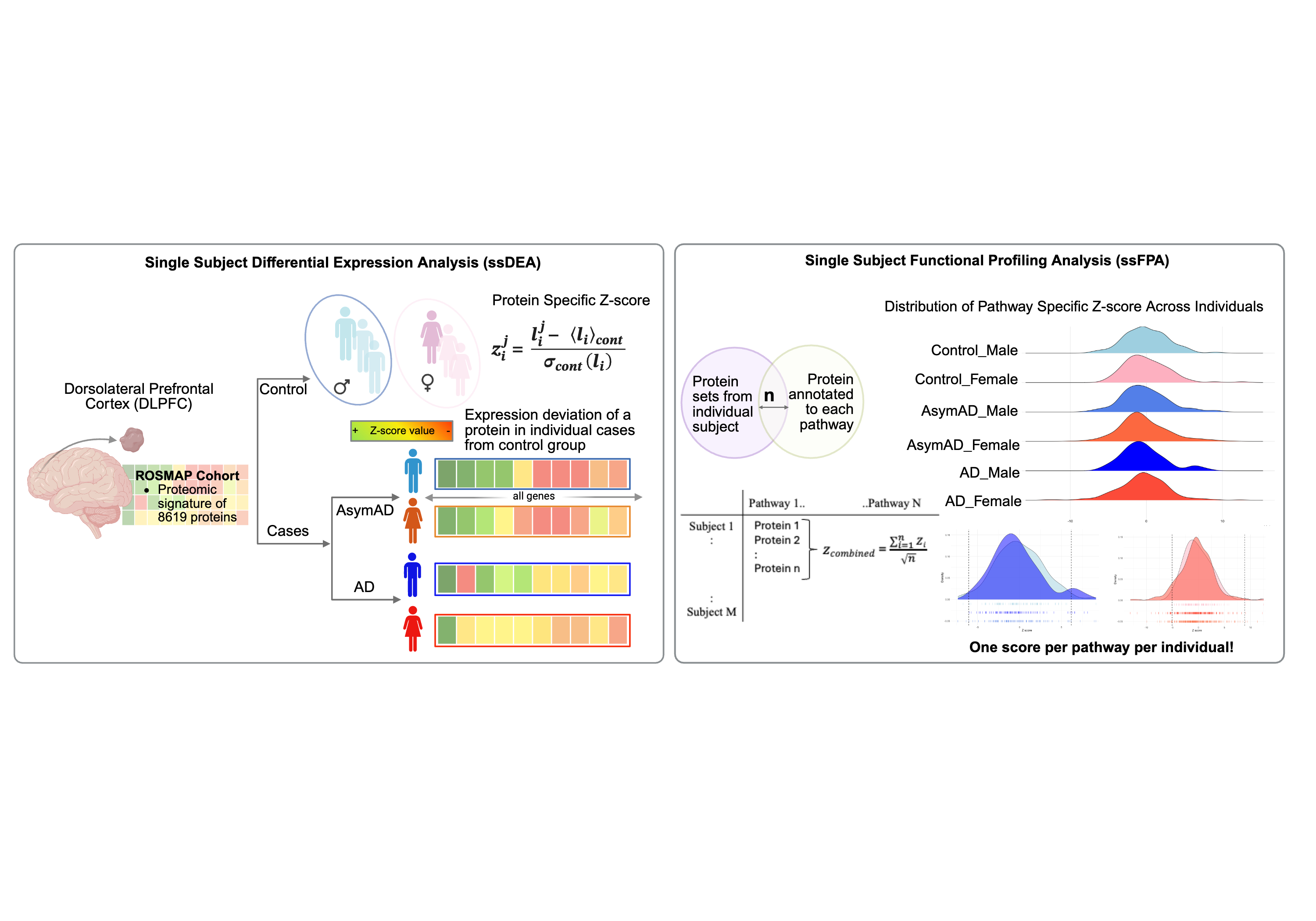 Overview schematic of the proteomics analysis workflow
